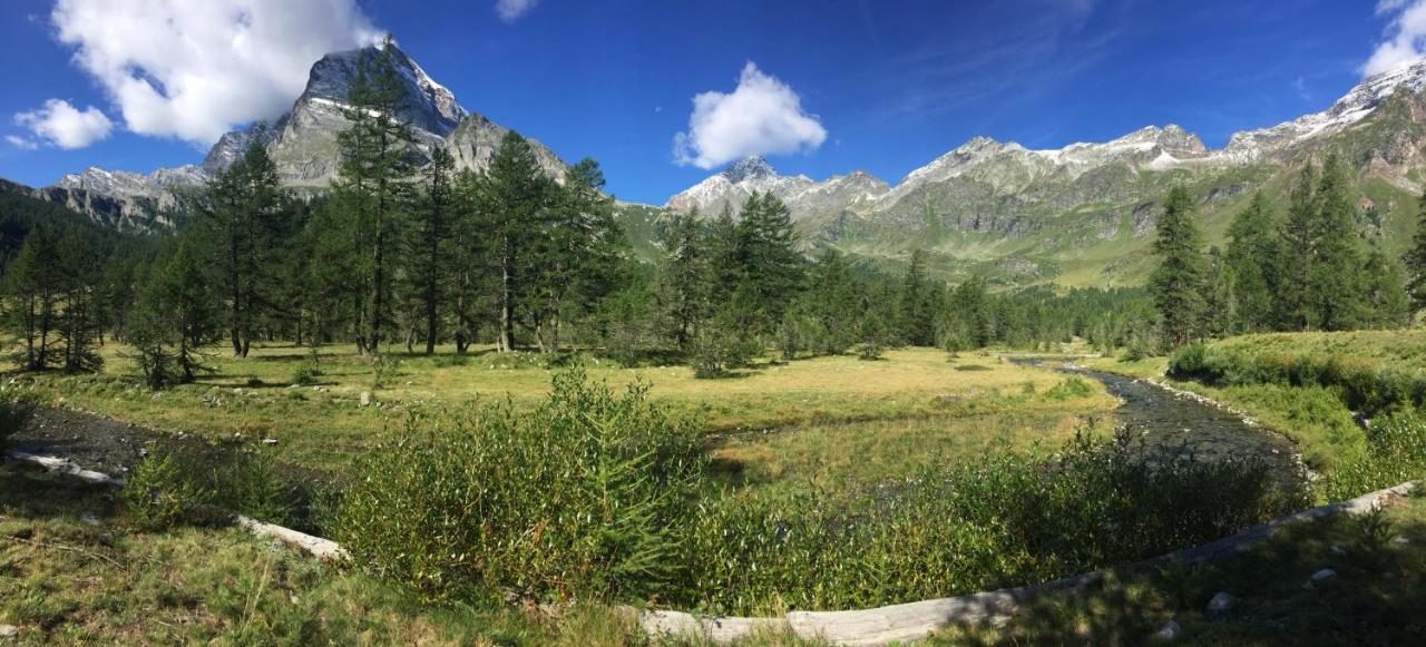 Casa Vacanza In Tipico Chalet Di Montagna Villa Varzo Eksteriør bilde