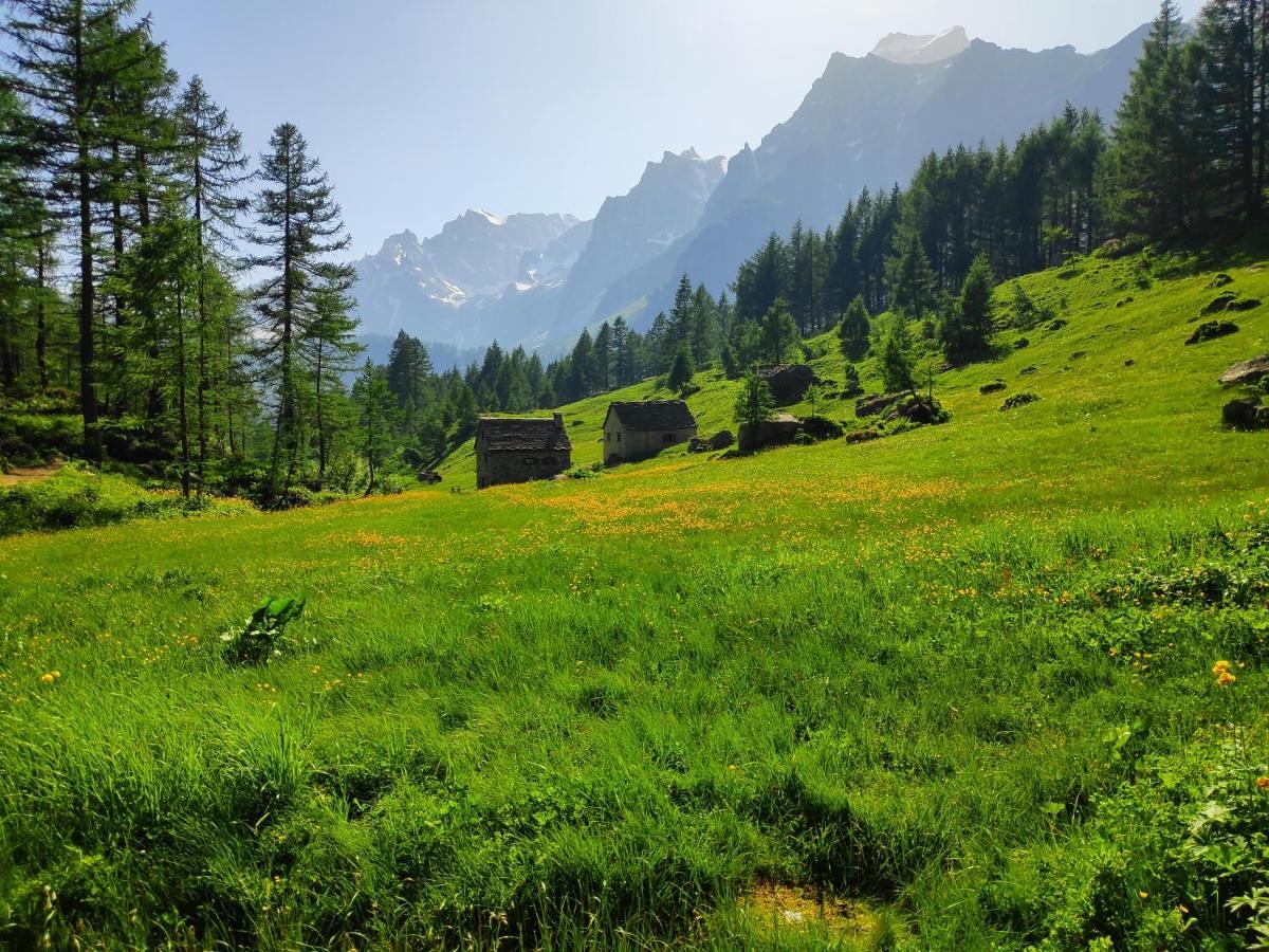 Casa Vacanza In Tipico Chalet Di Montagna Villa Varzo Eksteriør bilde