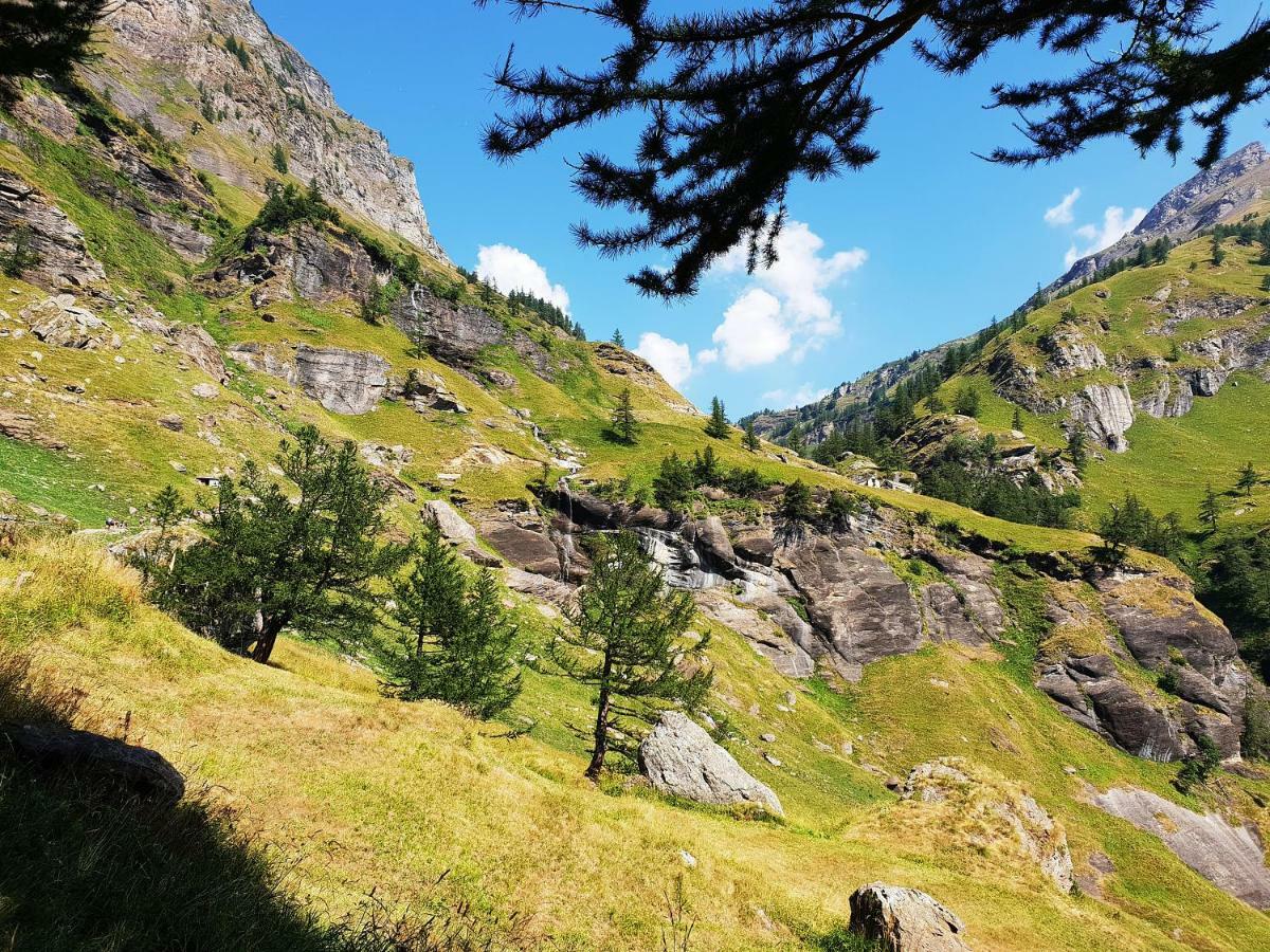 Casa Vacanza In Tipico Chalet Di Montagna Villa Varzo Eksteriør bilde