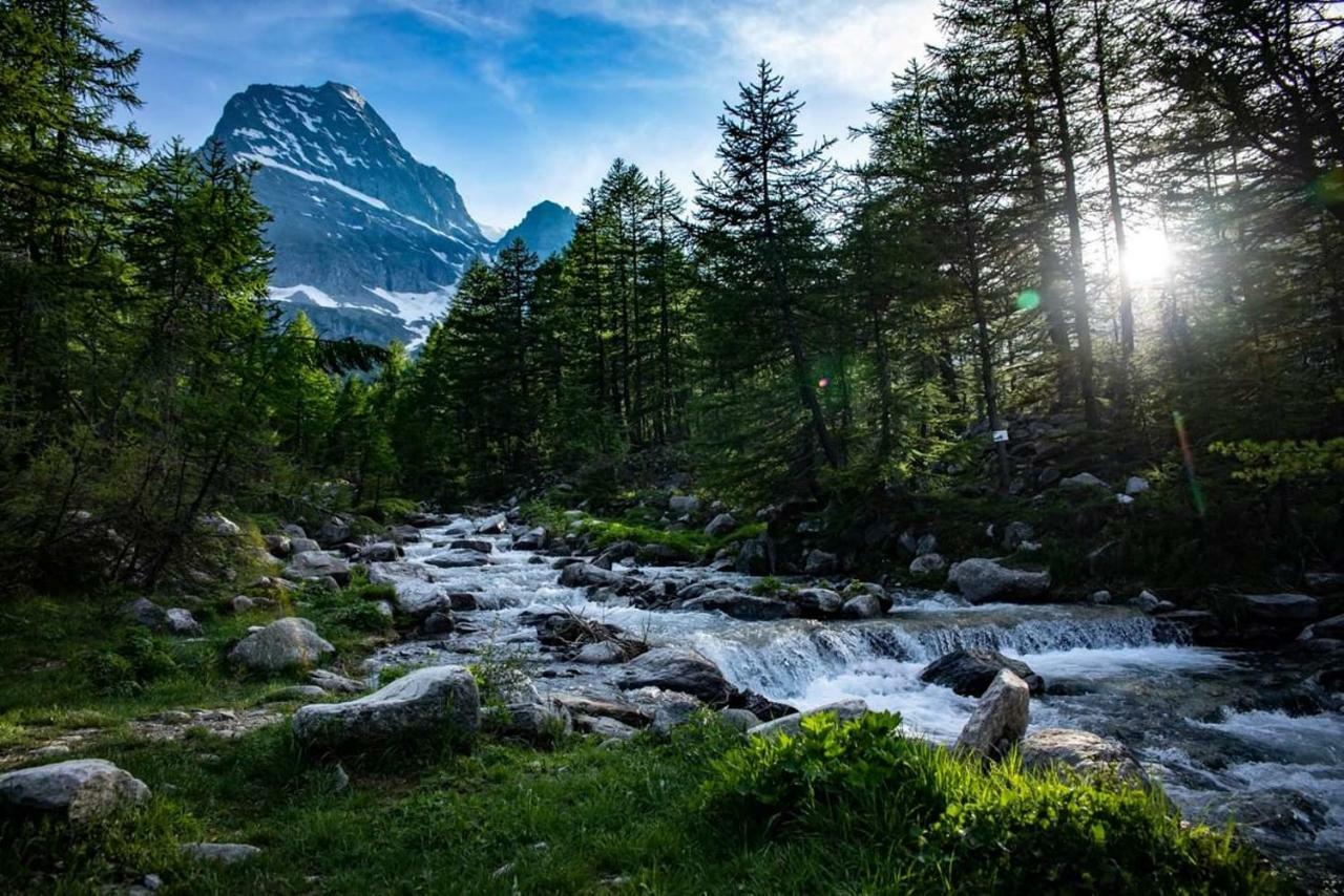 Casa Vacanza In Tipico Chalet Di Montagna Villa Varzo Eksteriør bilde